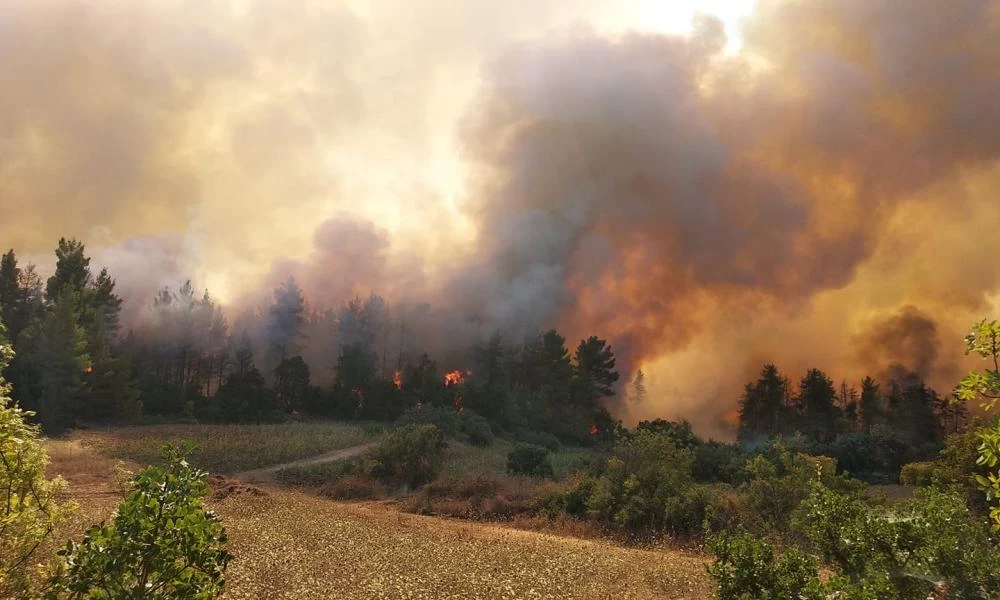 Φωτιά Αρχαίας Ολυμπίας: Προσήχθη ο οδηγός που είναι ύποπτος για εμπρησμό